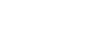 Logo White